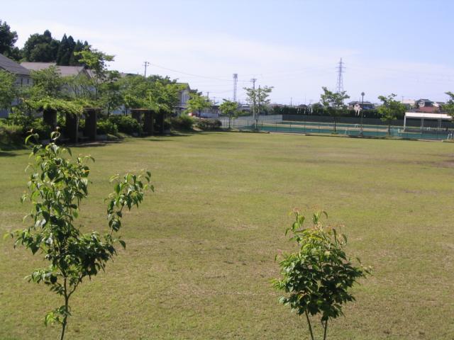 国際交流公園