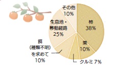 クマ6