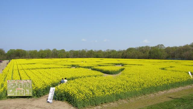 迷路入り口